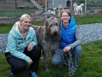 Weil Tiere nicht sprechen können
