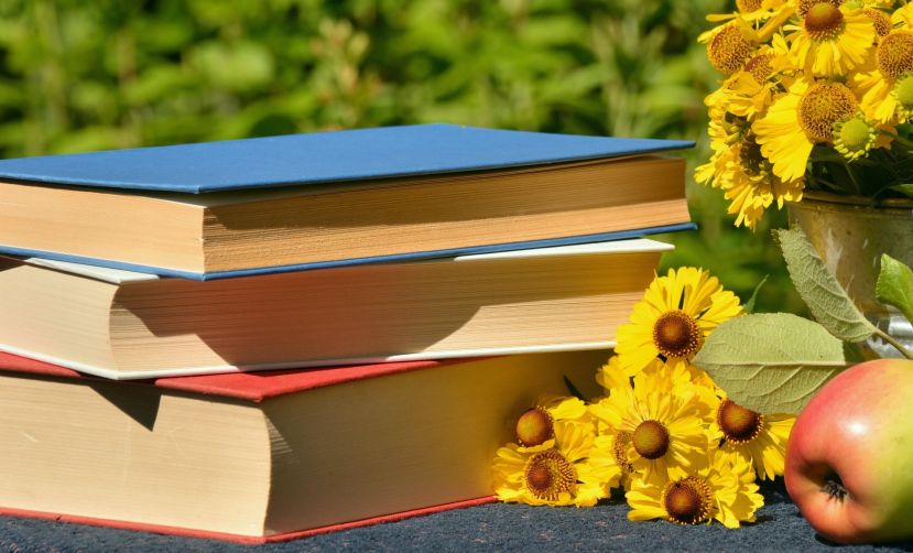 Sommerzeit ist Ferienzeit, ist Lesezeit