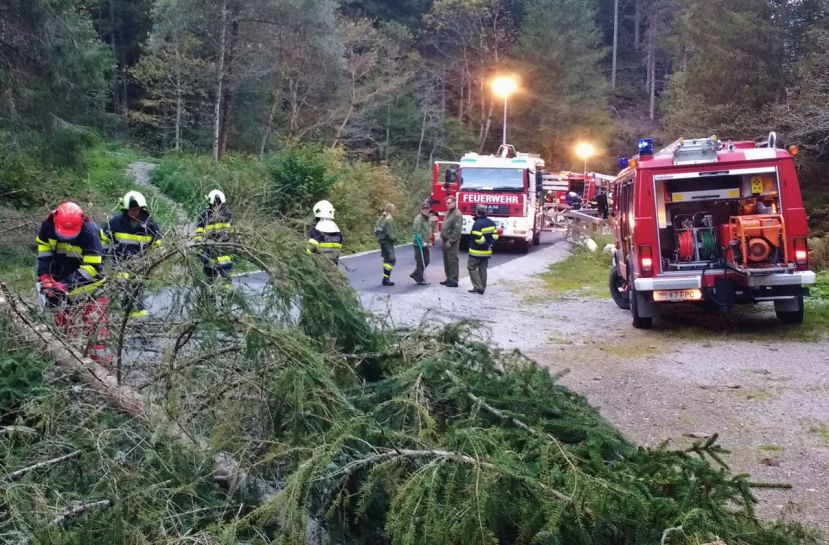Sieben FF auf einen Streich