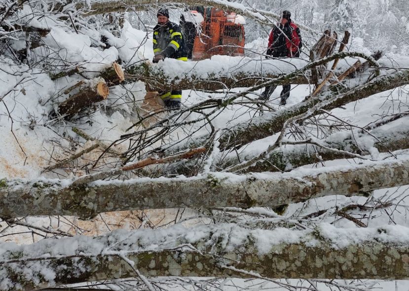 20 Feuerwehren im Unwettereinsatz