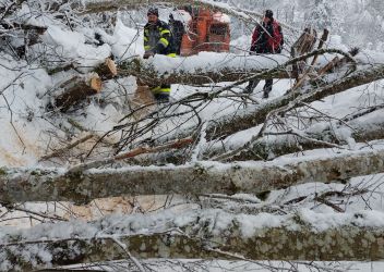 20 Feuerwehren im Unwettereinsatz
