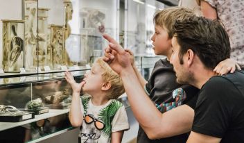 Familientage im Museum in Admont
