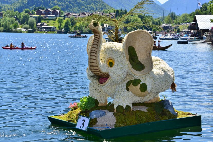 Hund, Drache und Elefant teilen sich Topplätze