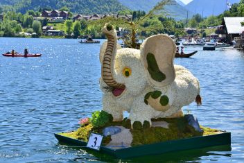 Hund, Drache und Elefant teilen sich Topplätze