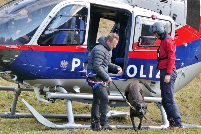 Suchhunde der Polizei im Einsatz