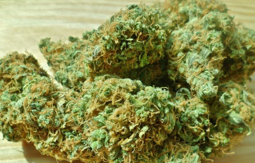 1,2 kg Cannabiskraut sichergestellt