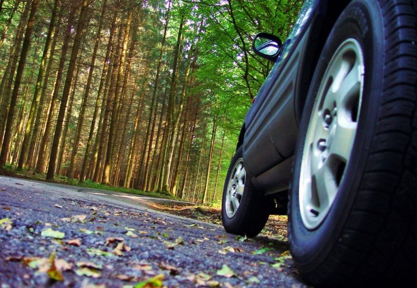 Autofahrer aufgepasst! Herbst!