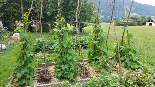 Garten Steirische Eisenwurzen