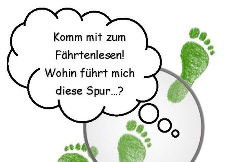 „Was ist wirklich mit Lisa passiert?“