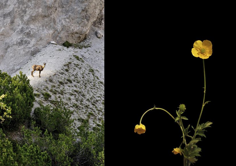 Wunder der Natur in Admont