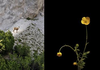 Wunder der Natur in Admont