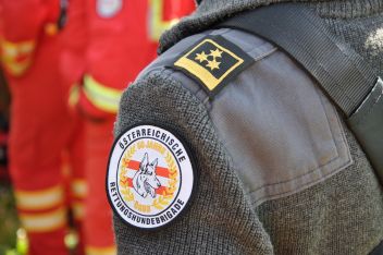 Rettungshunde live bei der Arbeit
