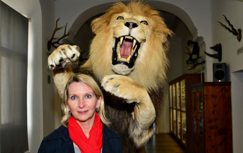 Nationalfeiertags-Aktion im Stift Admont