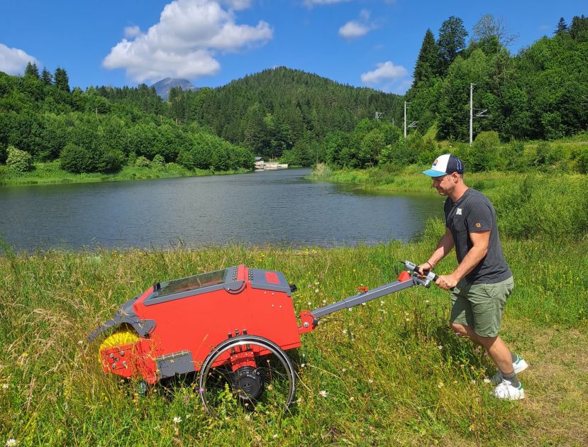 Blühende Vielfalt aus unserer Region