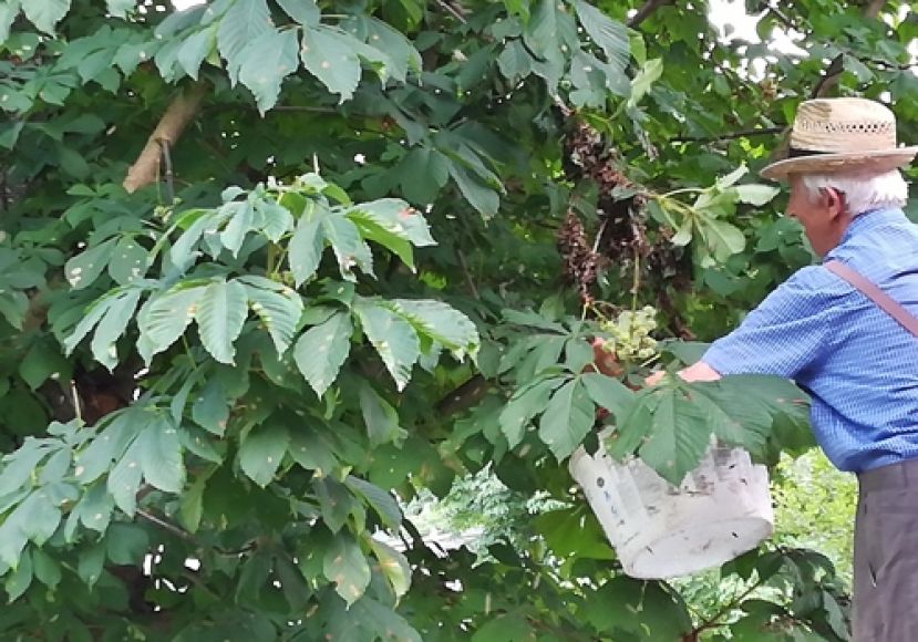 Spezielle Tierrettung der FF Stainach