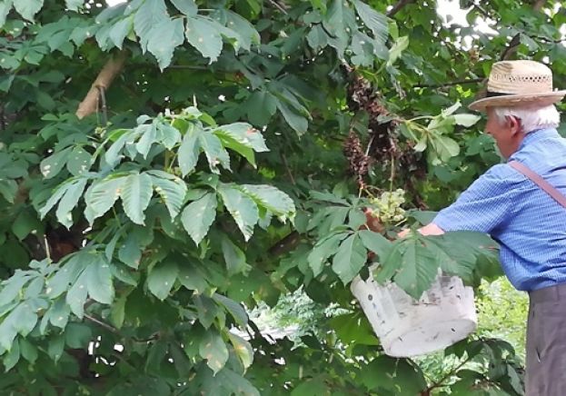 Spezielle Tierrettung der FF Stainach