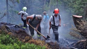 Waldbrand nähe der Brandlalm bei Gröbming