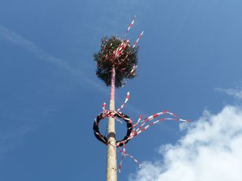 Maibaum fiel auf ein Einfamilienhaus