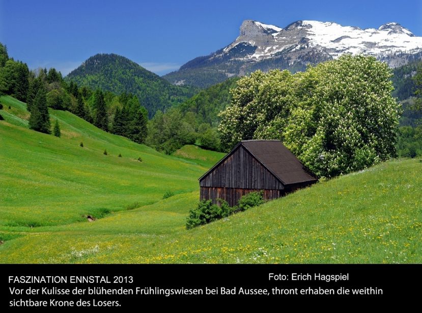 Erich Hagspiel
