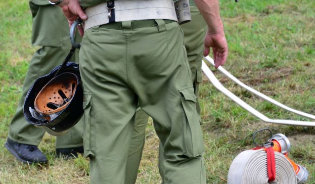 Hund bemerkte Brand und weckte Hausbesitzer