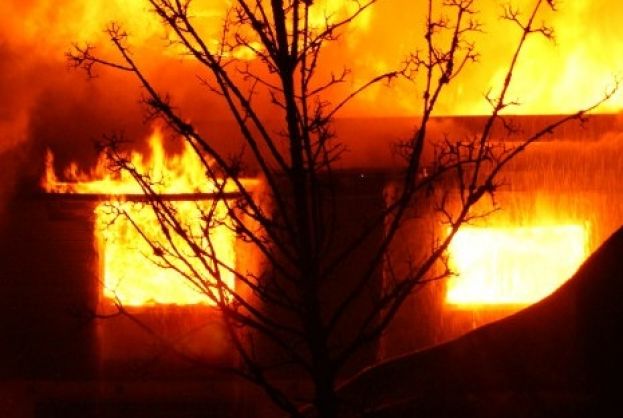 Pferde verendeten nach Stallbrand.