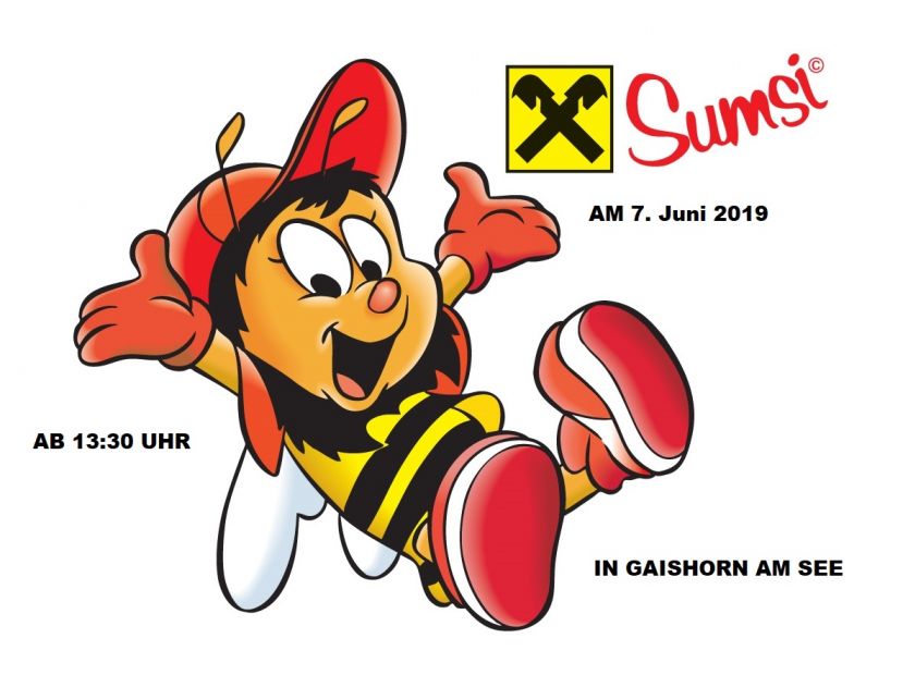 SUMSI Fest in Gaishorn am See