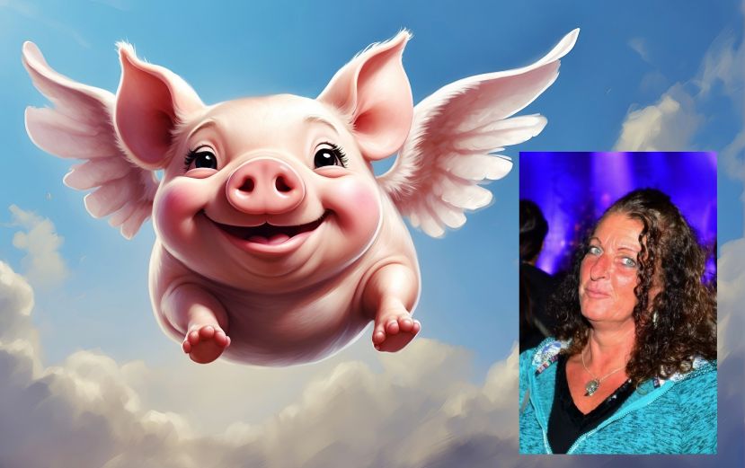 Chrissi lässt die Schweine fliegen