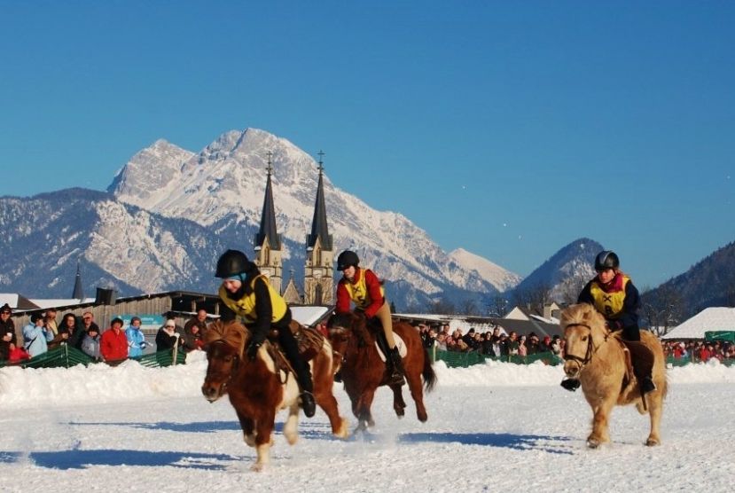 27.01.2012 ab 13:00 Uhr auf dem Gelände des Admonter Gutshofes - bei freiem Eintritt