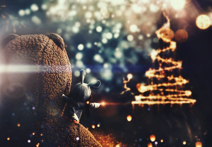 Suchaktion endete mit Weihnachtswunder