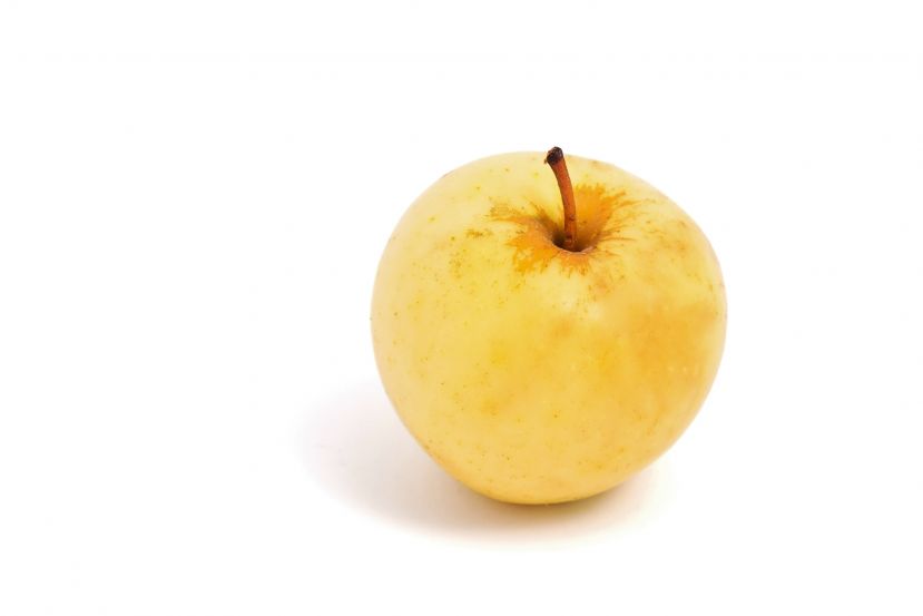Wiederentdeckte Apfelsorte in der Wildnis der Steirischen Eisenwurzen.