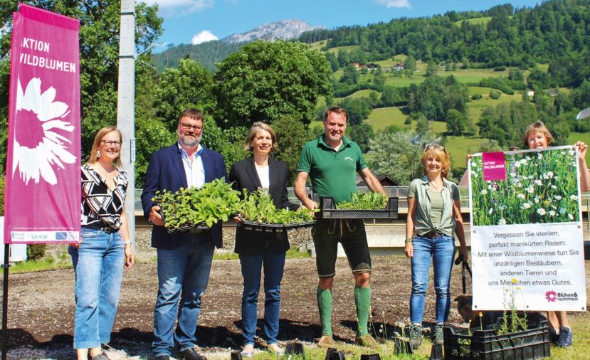 Natalie Prüggler (KLAR Zukunftsregion Ennstal), Bgm Franz Zach (Gemeinde Öblarn), Gabriele Trinker (Naturpark Sölktäler), Bgm Dieter Stangl (Gemeinde Michaelerberg-Pruggern), Christine Podlipnig (Aktion Wildblumen -Verein Blühen&amp;Summen) und Gabi Percht