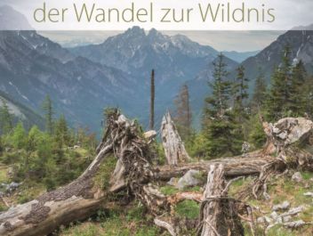 (Un-)Ordnung in der Natur