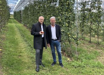 Agrarlandesrat Hans Seitinger und sein Südtiroler Amtskollege Arnold Schuler besichtigen die Agri-PV-Anlage in Haidegg
