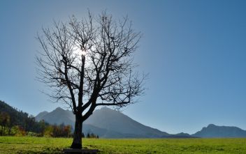 Schon bald kommt die Sommersonnenwende