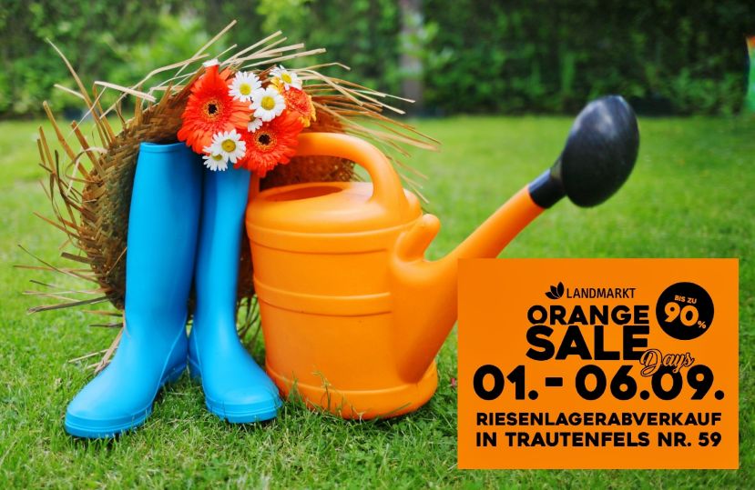 Mega-Schnäppchen-Alarm in Trautenfels