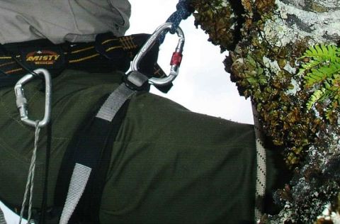 Alpinunfall am Admonter Kalbling