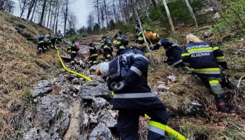 Waldbrand Einsatz in Wildalpen