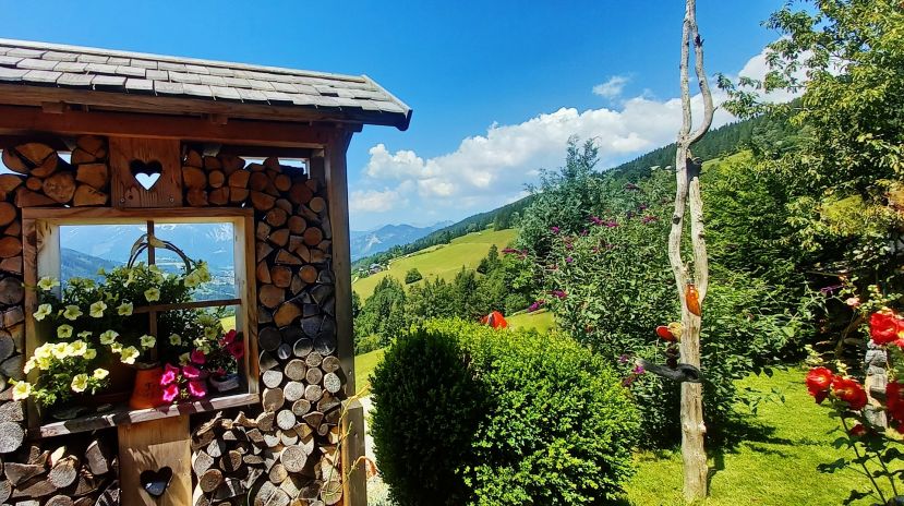 Wunderschöne Natur im Garten