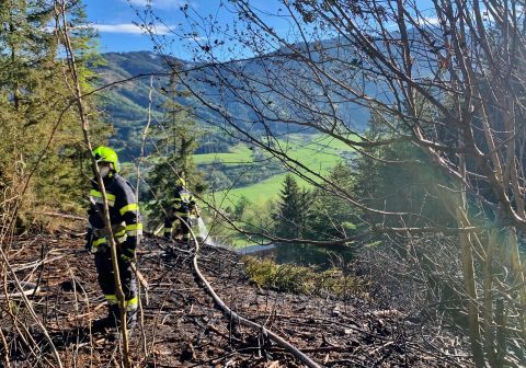 Sechs Feuerwehren löschten Waldbrand