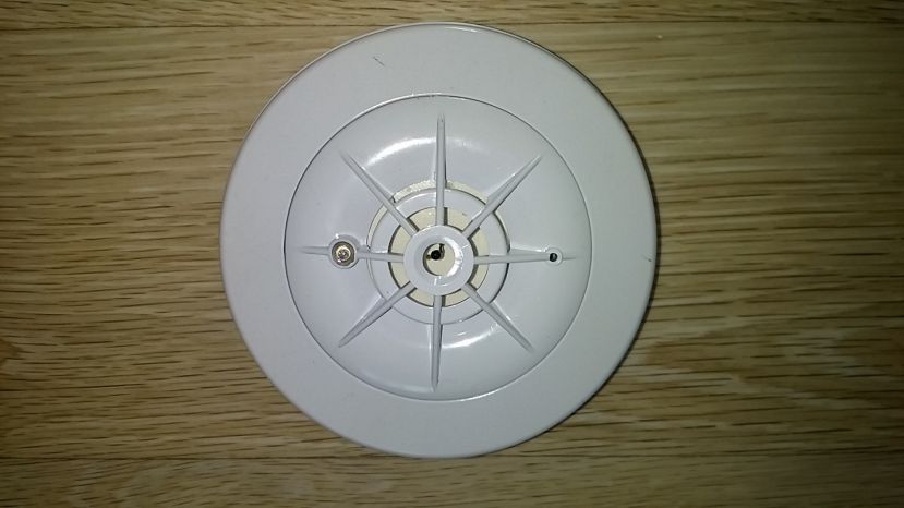Von Rauchmelder in Landl geweckt
