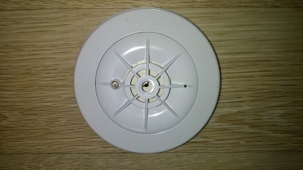 Von Rauchmelder in Landl geweckt