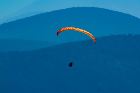 Paragleiter blieb in Baum hängen