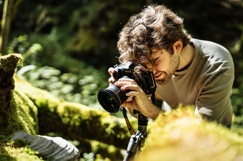 Im Wald finden sich oftmals faszinierende Motive unmittelbar neben den Wegen