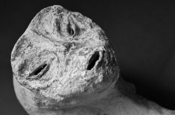 Nazca Mumie