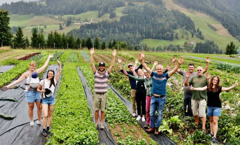 Im Projekt unterstützt das RML Neugründer:innen, die Marktgärtnereien aufbauen und die Region Liezen mit hochwertigem, saisonalem und erntefrischem Gemüse versorgen.