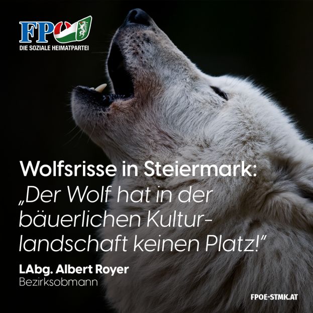 Monatelanges Zuwarten der Landesregierung