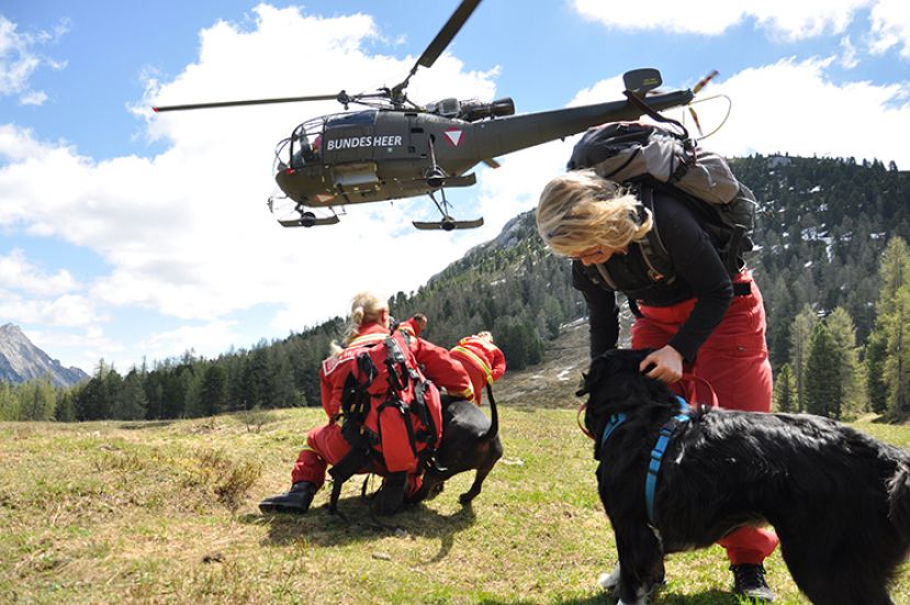 Rettunghundebrigade probte den Ernstfall