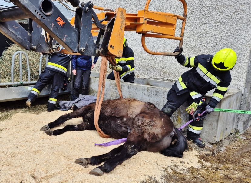 Dramatische Rettung auf Reiterranch