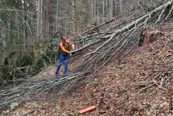 Das Wandern ist nicht nur des Müllers Lust