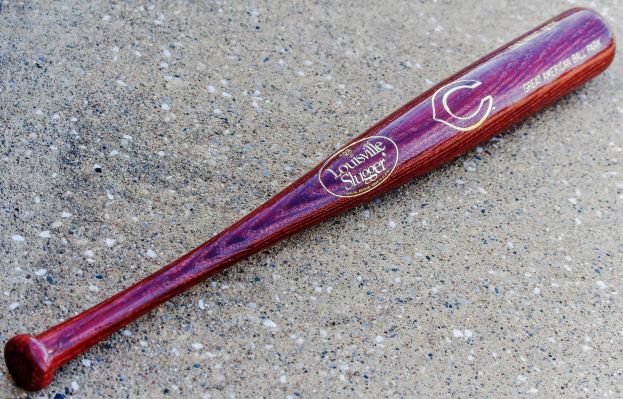 Mit Baseballschläger Polizeiinspektion verwüstet